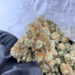 Gorilla Glue #4 Strain