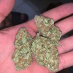 Northern Lights Strain