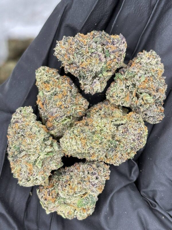 AK 47 strain