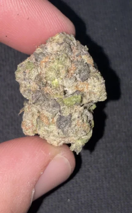Buy Biscoff Strain online