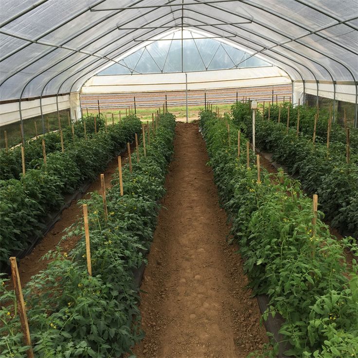 our farm